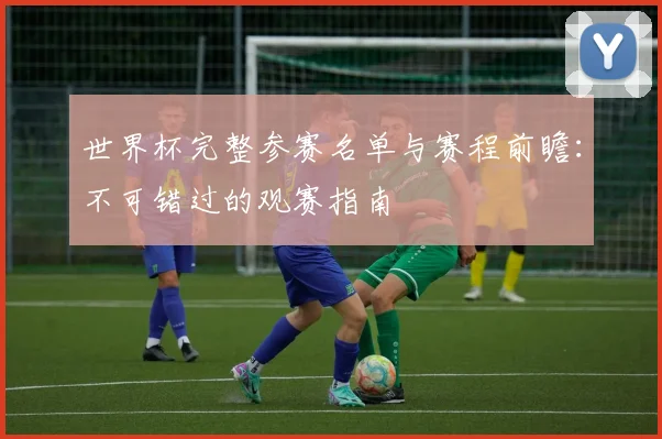 世界杯完整参赛名单与赛程前瞻：不可错过的观赛指南